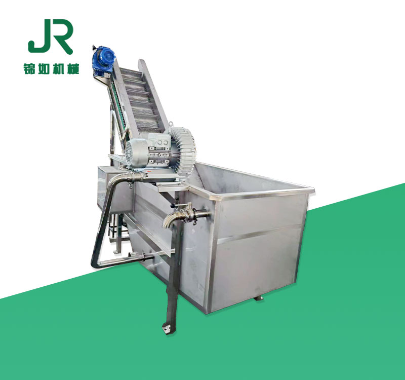 JRCXJ-1冲浪洗果机